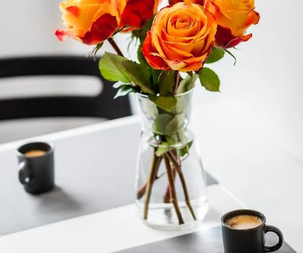 Apartamento Carpe Diem *